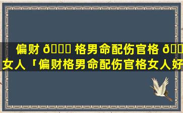 偏财 🍀 格男命配伤官格 🐼 女人「偏财格男命配伤官格女人好吗」